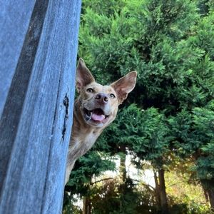 Meet your Posher, Katrinna